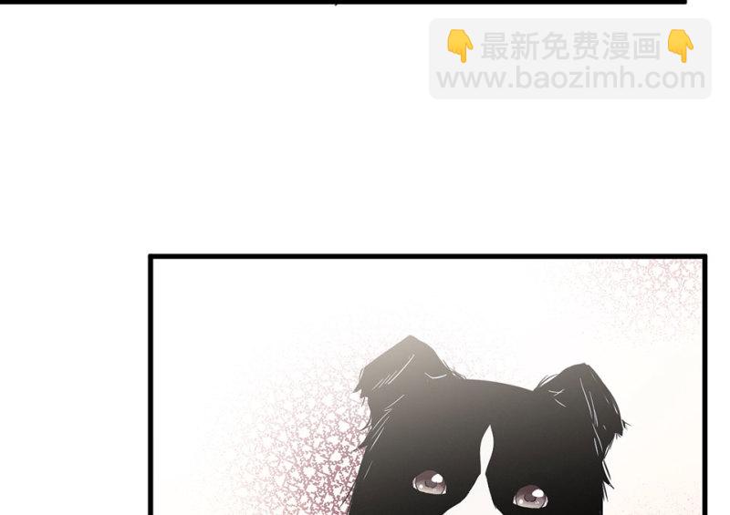 《怪奇杂货店》宠物食粮·二 第33页