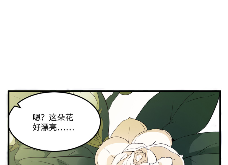 《怪奇杂货店》宠物食粮·三 第48页