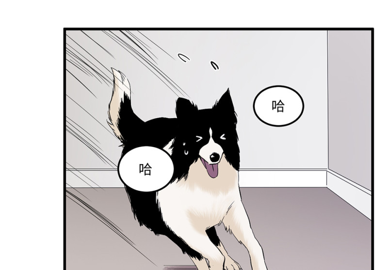 《怪奇杂货店》宠物食粮·三 第9页