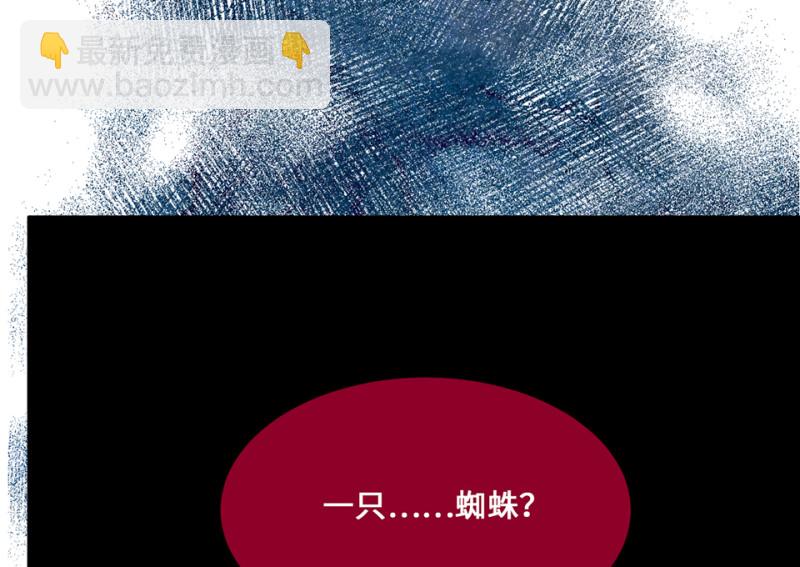 《怪奇杂货店》111 野蜘蛛·四 第47页