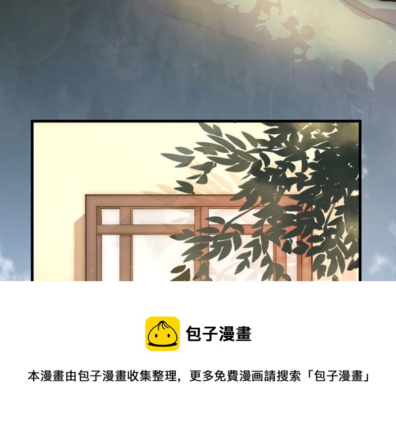 《怪奇杂货店》113 野蜘蛛·六 第11页