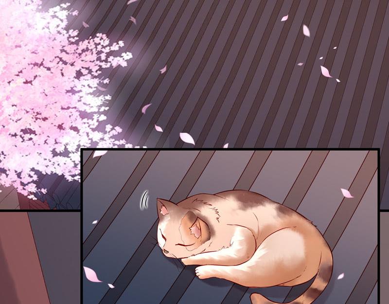 《白月光驯服计划》第24话 第13页