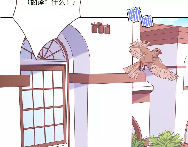 《城市王子与土着少女》第3话 豪门千金 第10页