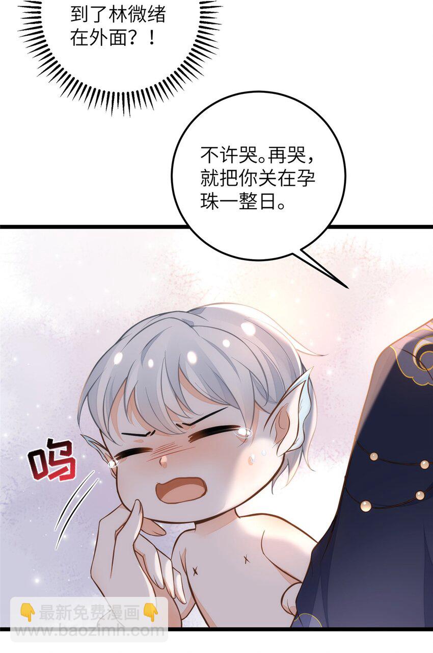 《鲛人弟弟又咬我了》098 不能让她发现孩子 第35页