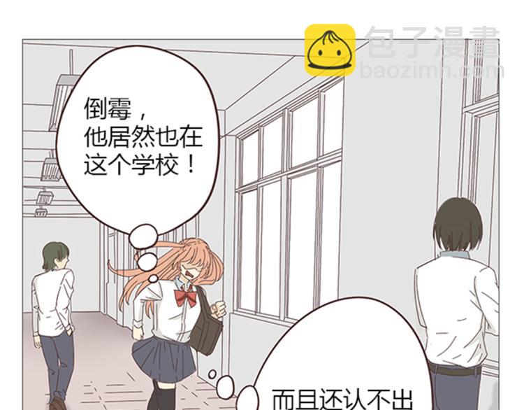 《你好！筋肉女》第6话 我不会原谅你 第4页