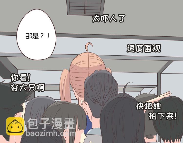 《你好！筋肉女》第63话 你没事就好…… 第26页