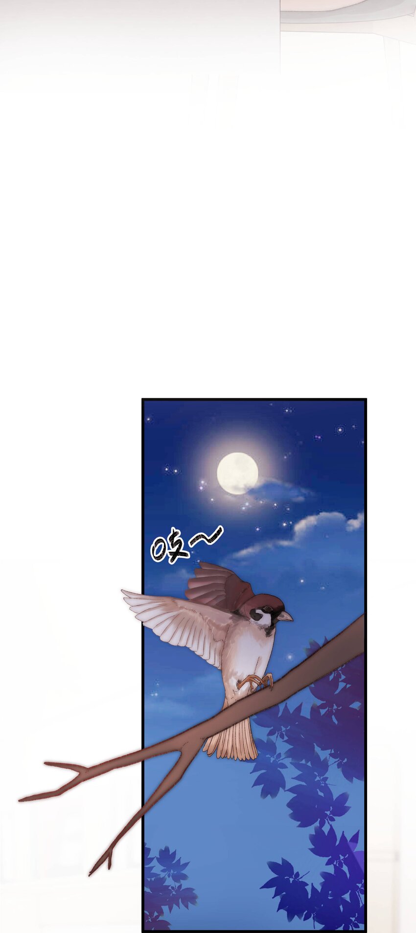 《职业粉丝》005 我做你的职业粉丝！ 第8页