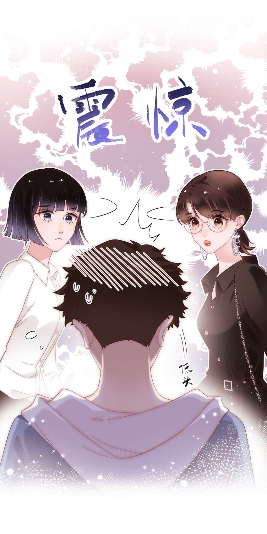 《职业粉丝》024 会长们的面基 第18页