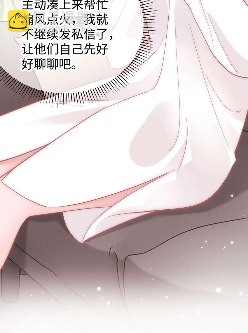《职业粉丝》047 煽风点火 第29页