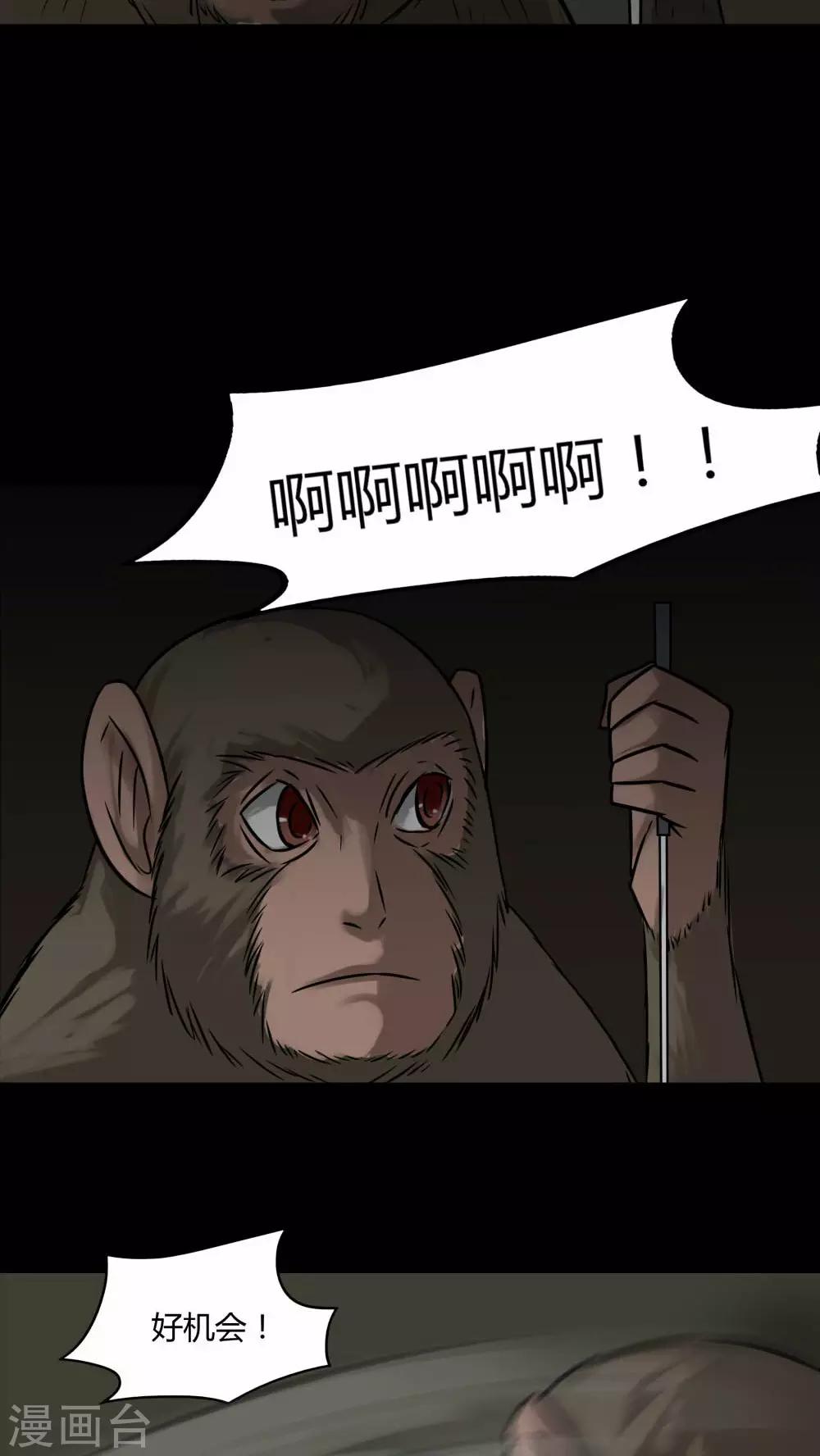 《诡中有诡》第85话 猴知猴觉(2) 第20页
