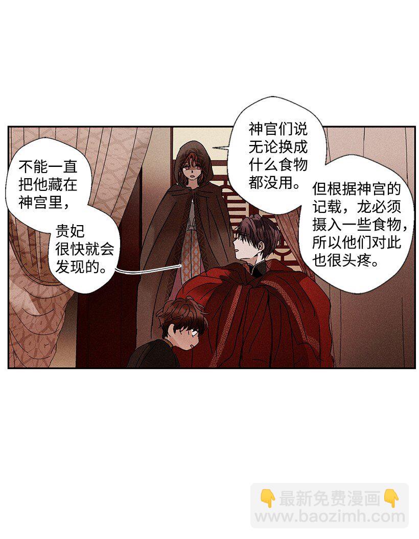 《龙下雨的国家》3 3 第8页