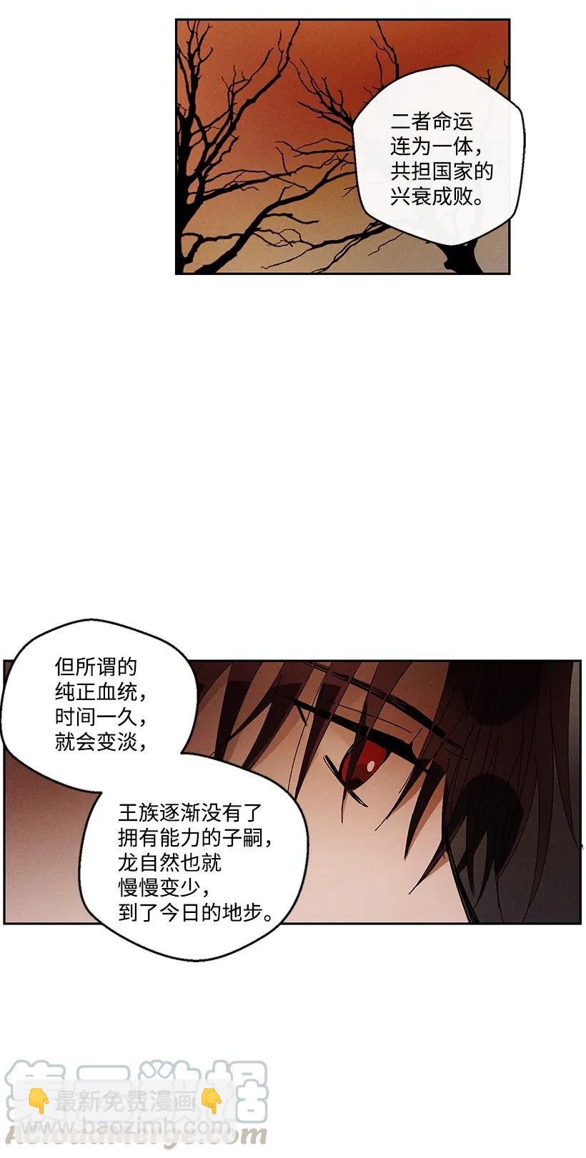 《龙下雨的国家》25 25 第28页