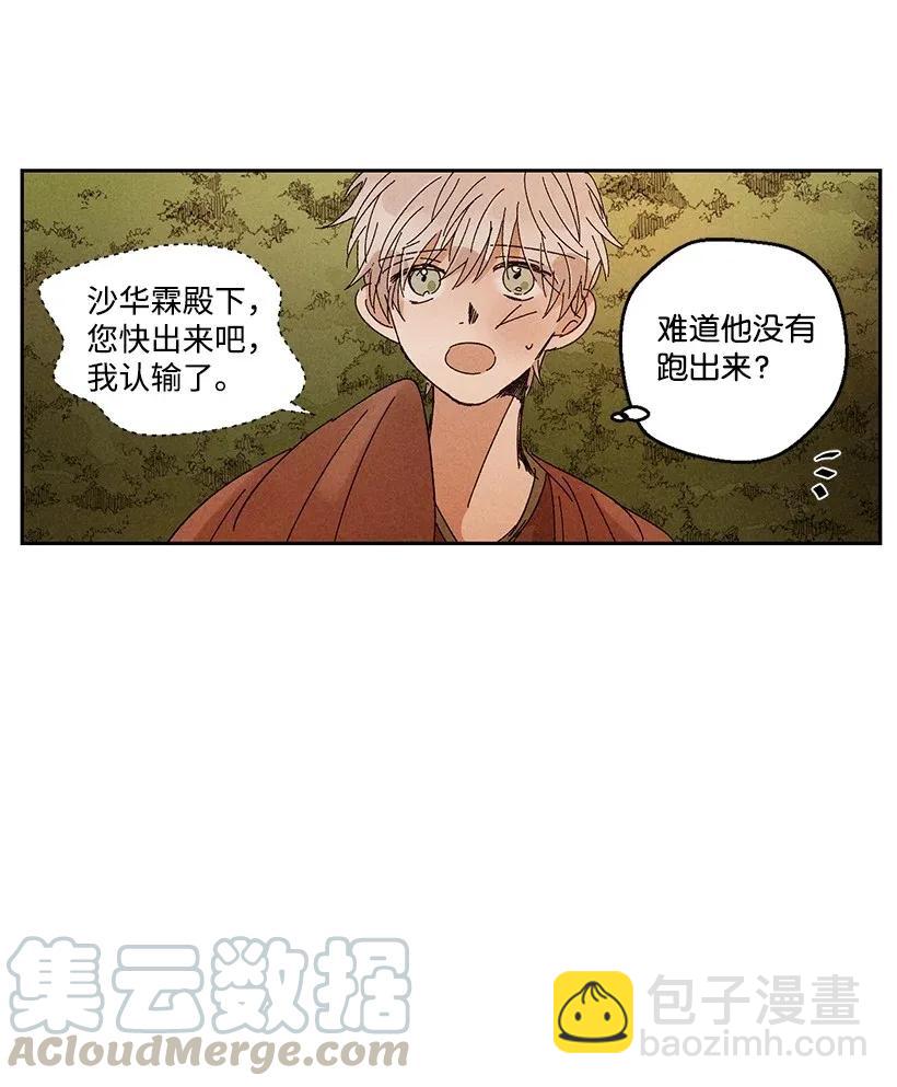 《龙下雨的国家》31 31 第13页
