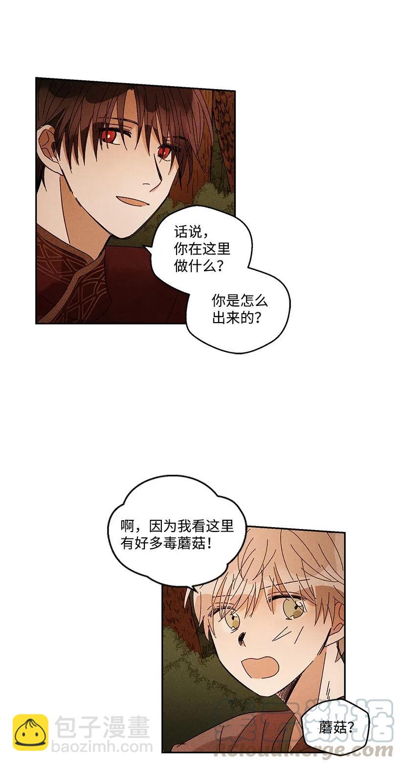 《龙下雨的国家》34 34 第21页