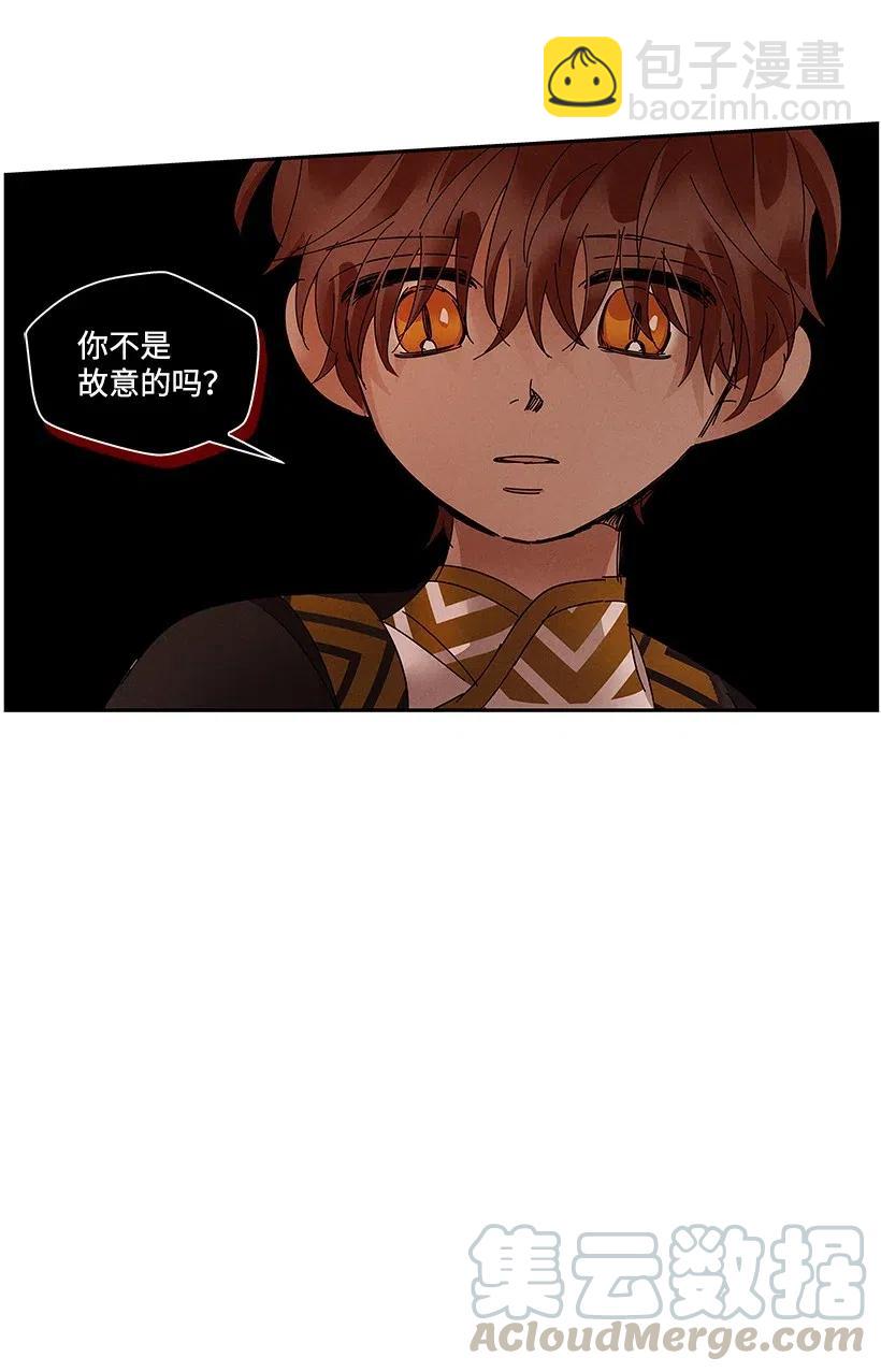 《龙下雨的国家》74 74 第49页