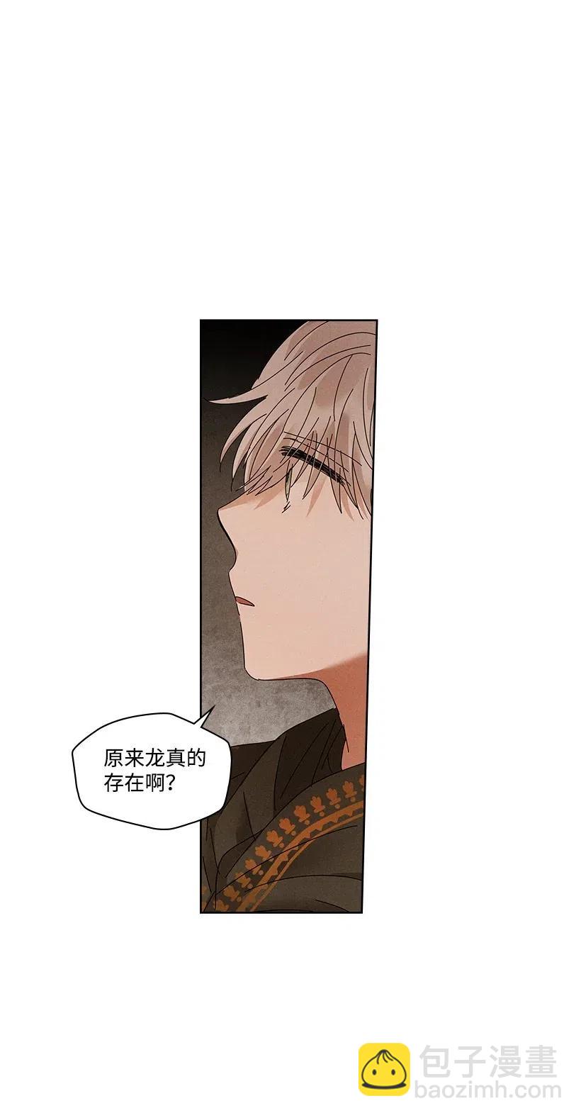 《龙下雨的国家》80 80 第27页