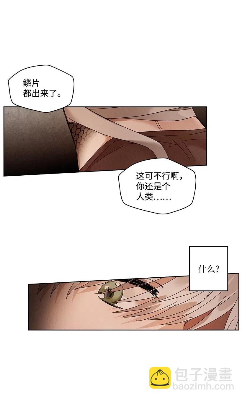 《龙下雨的国家》80 80 第8页