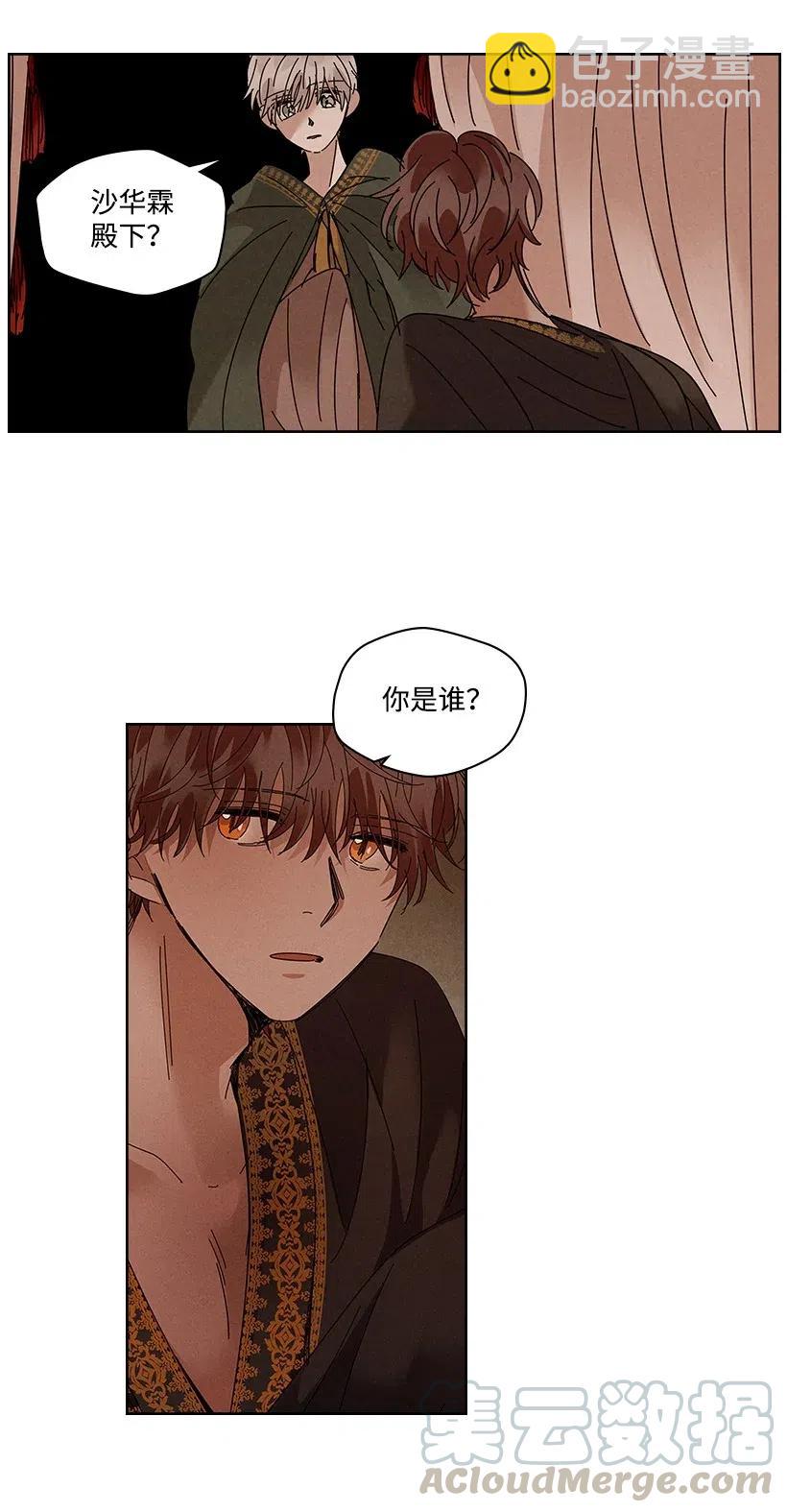 《龙下雨的国家》79 79 第31页