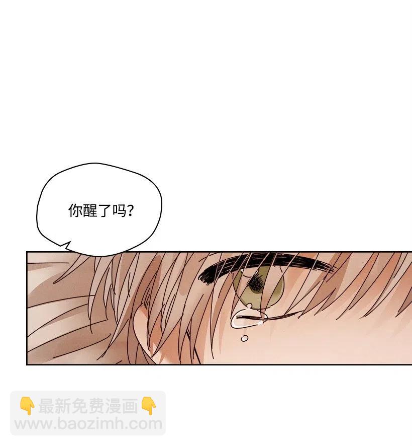《龙下雨的国家》106 106 第48页