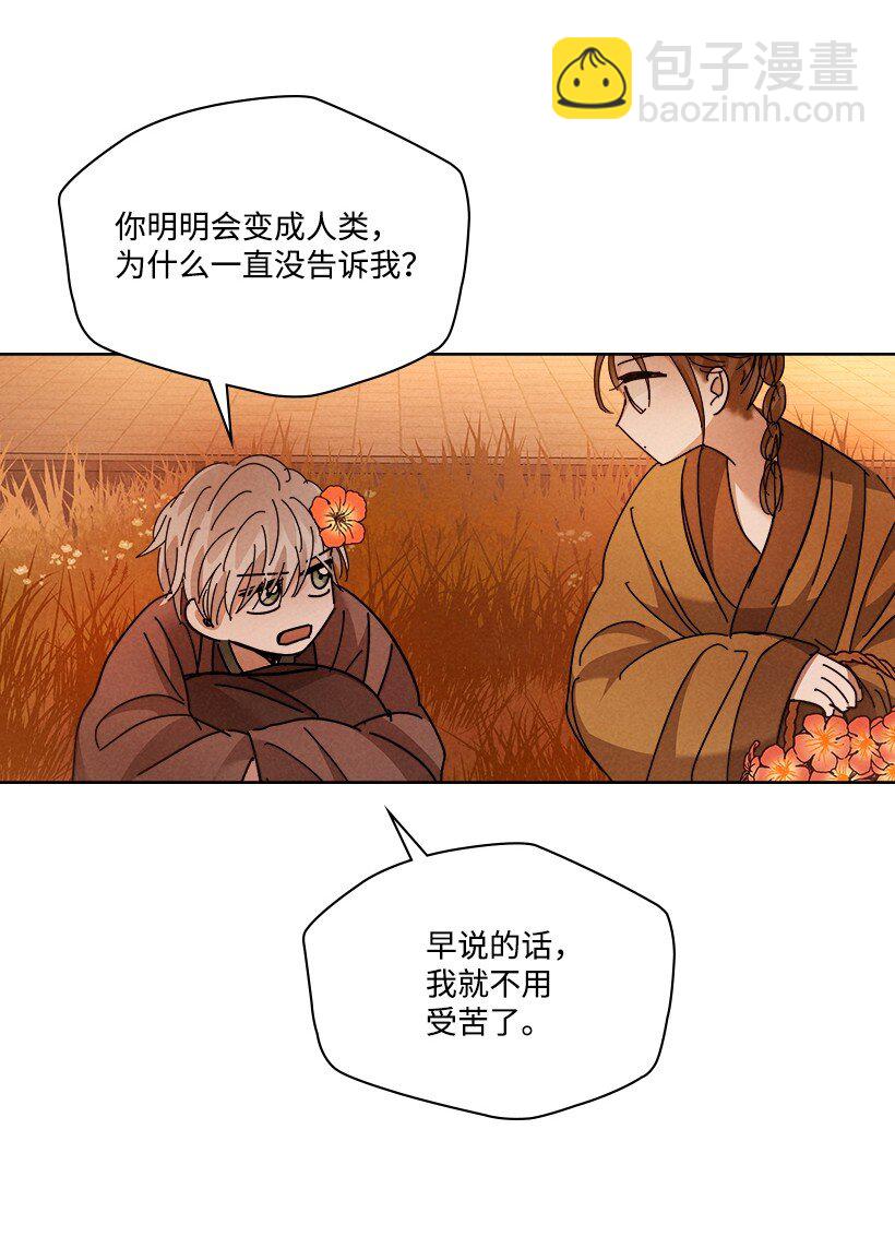 《龙下雨的国家》162 162 第46页