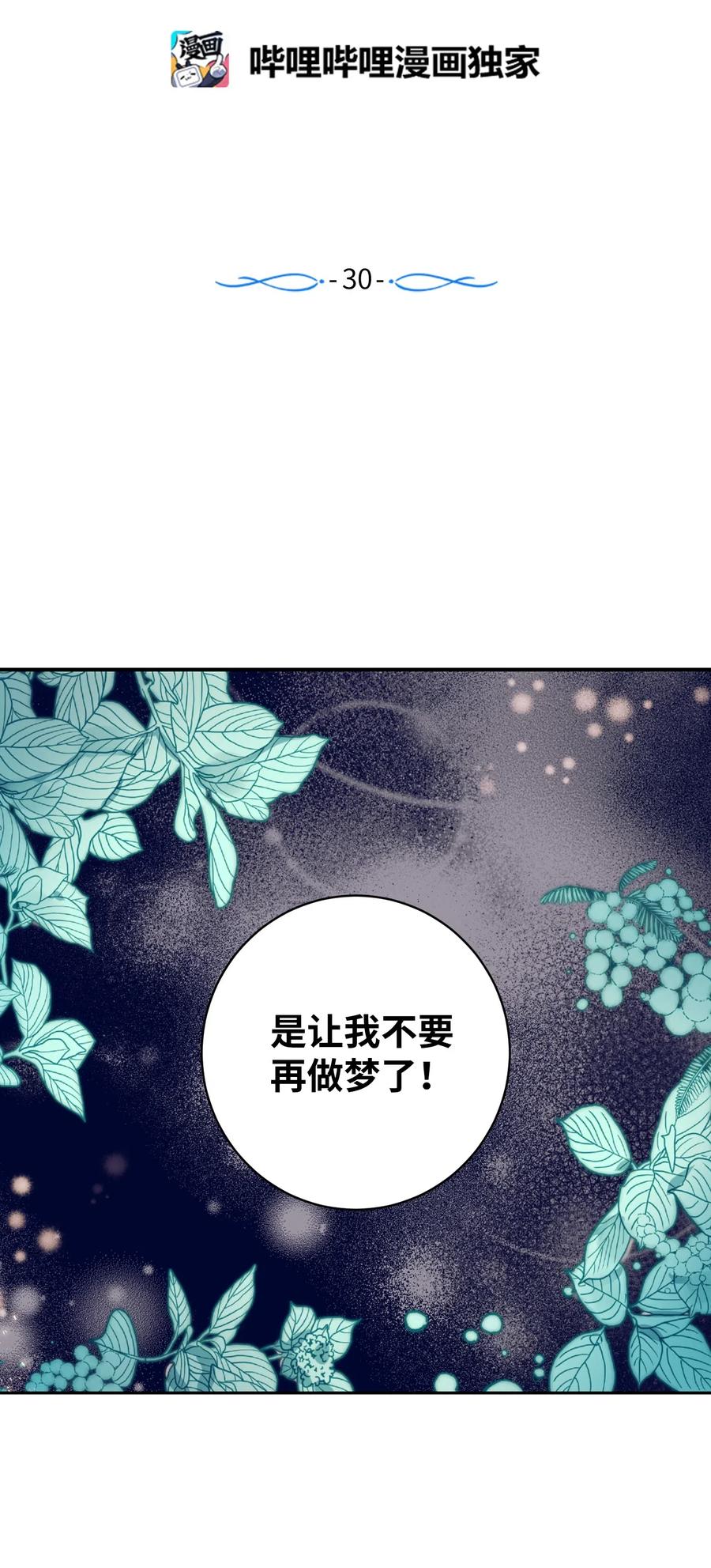 《触碰你的魔法》30 不想再做梦了 第2页