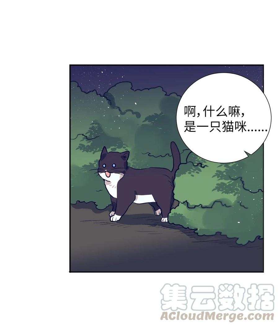 《触碰你的魔法》42 自私自利的女人 第37页