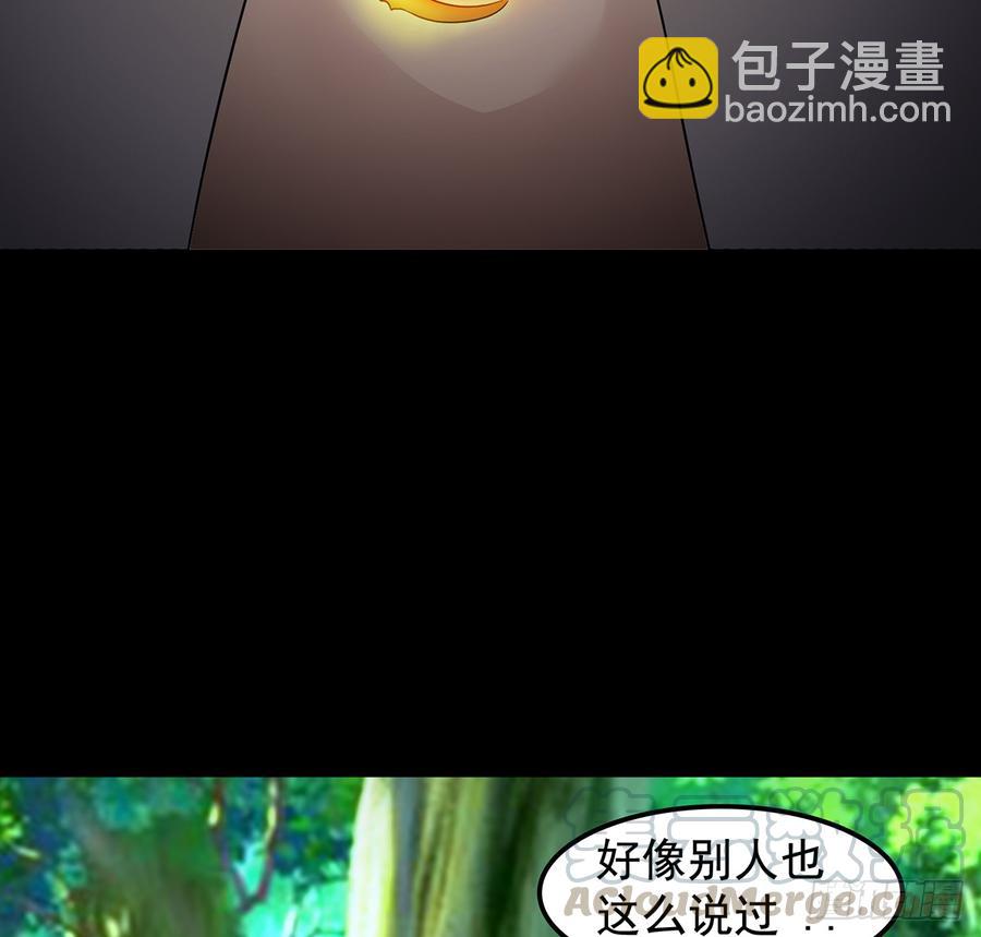 《殁仙》御火借风，障雾沼生 第29页