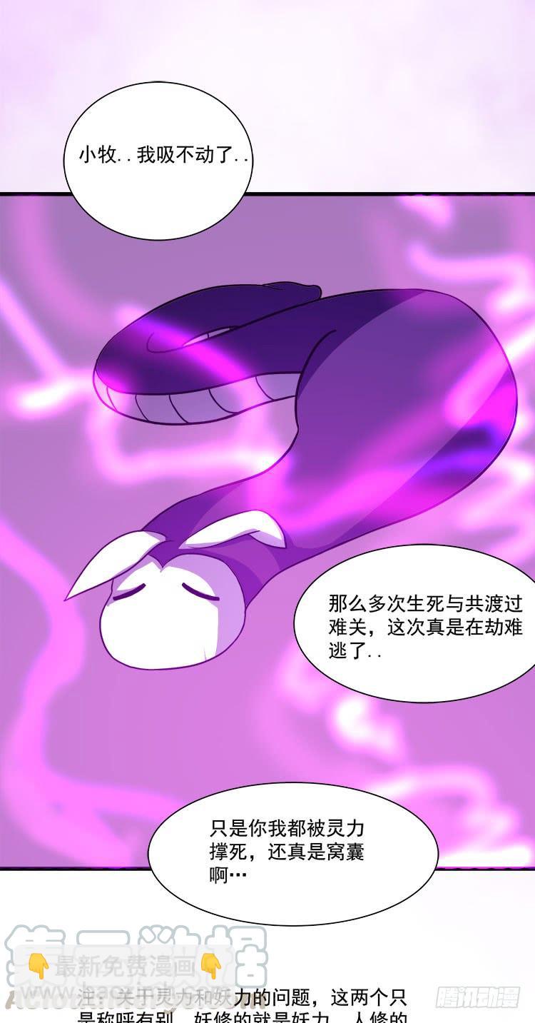 《殁仙》妖紫涌动，灵蓝涟漪 第13页