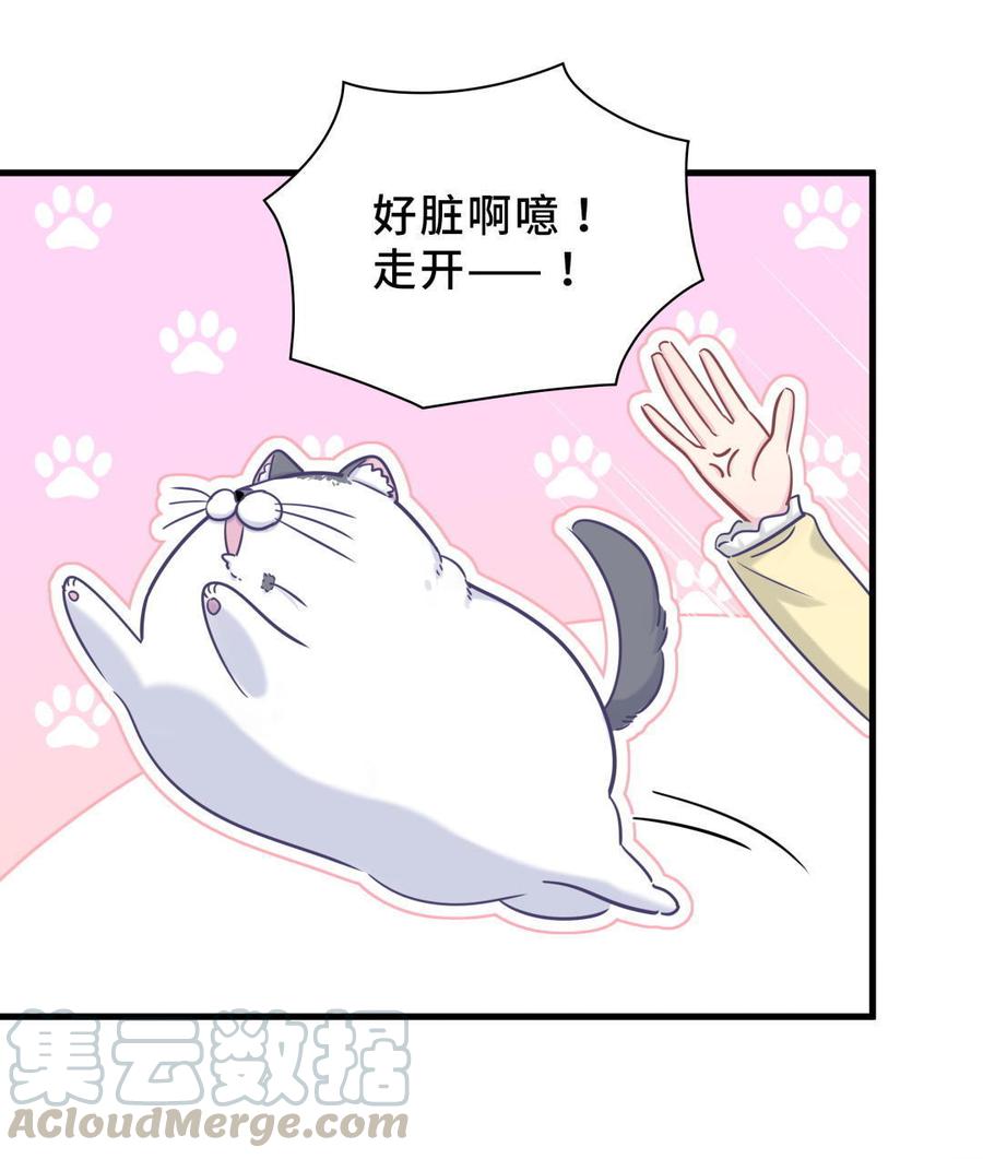 《我的未婚夫候选人》新年番外 你选谁 第31页