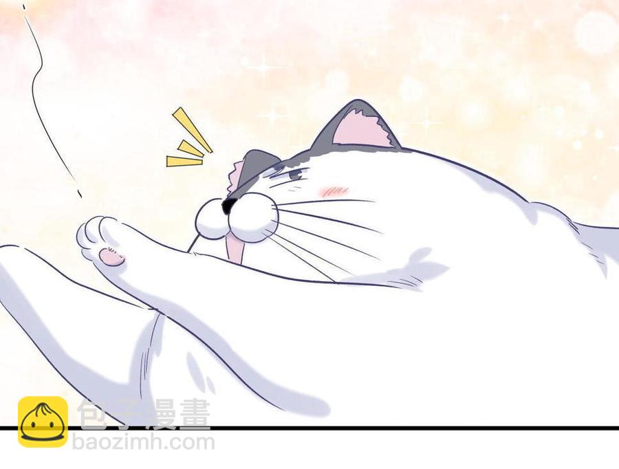 《我的未婚夫候选人》第47话 我很抱歉 第48页