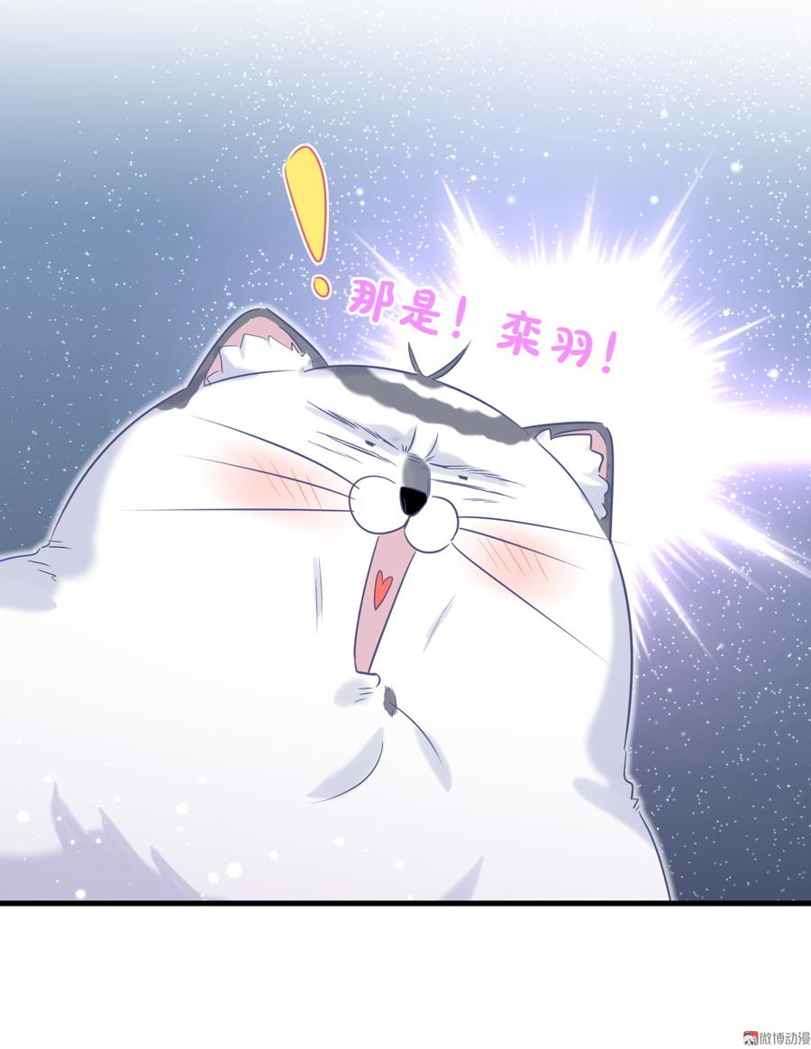 《我的未婚夫候选人》第65话 说不定有血缘关系？ 第6页