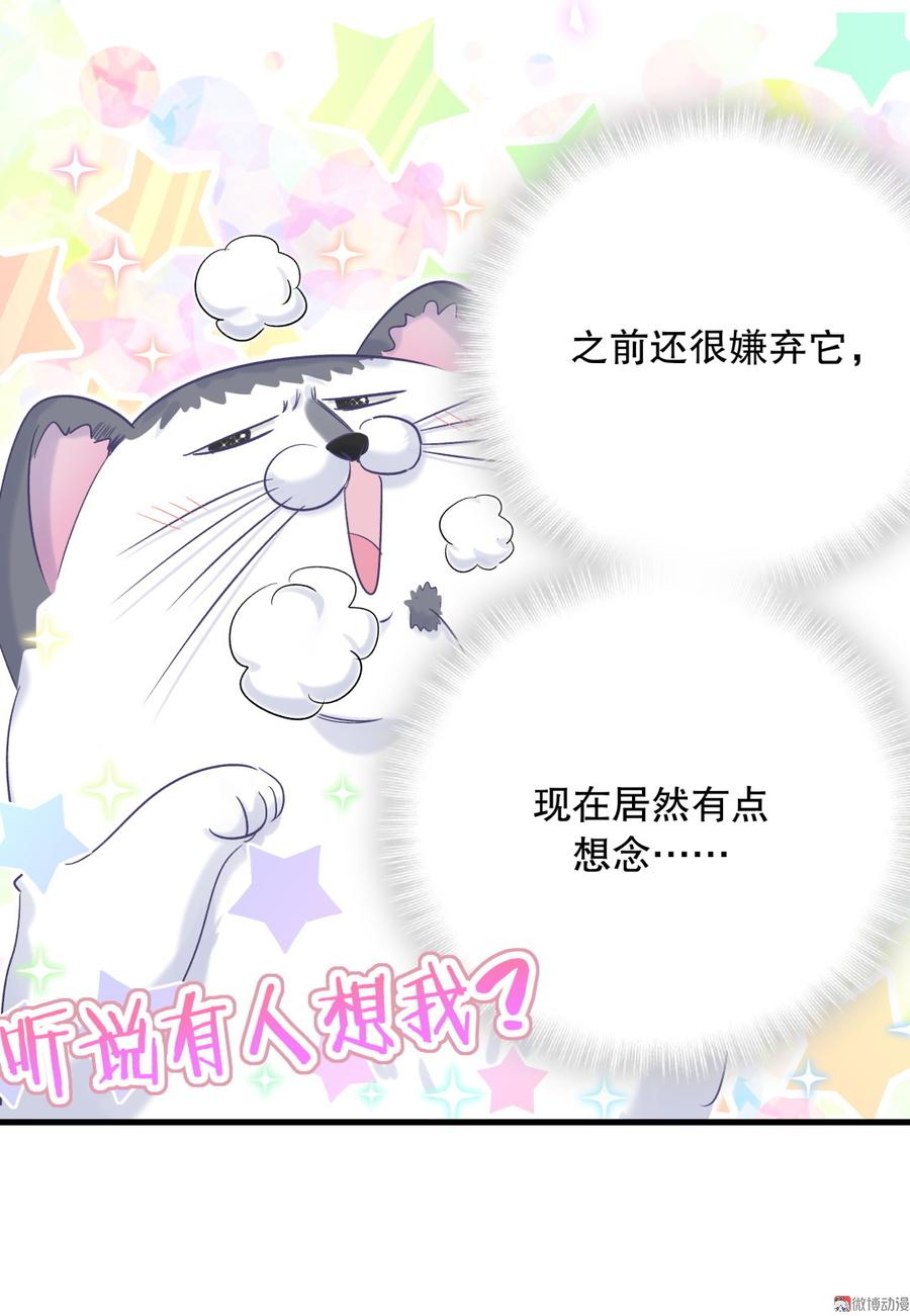 《我的未婚夫候选人》第64话 阿靓不见啦！ 第25页