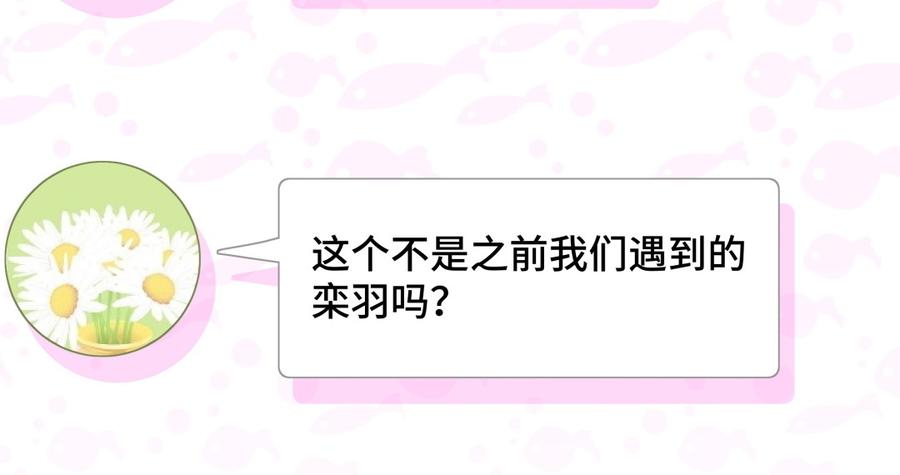 《我的未婚夫候选人》第68话 你觉得呢，栾羽 第14页