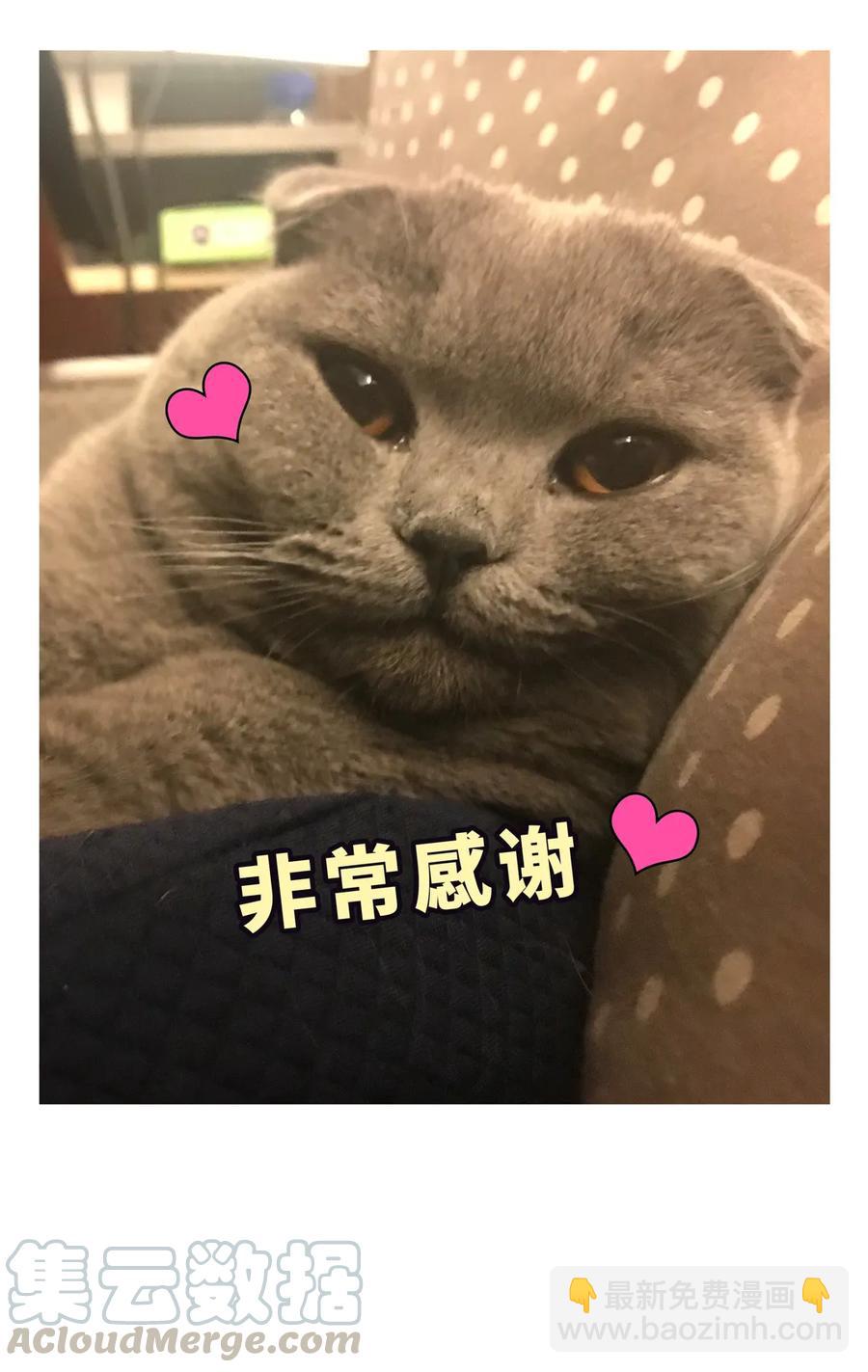 《我的未婚夫候选人》第90话 栾羽的爸爸？ 第49页