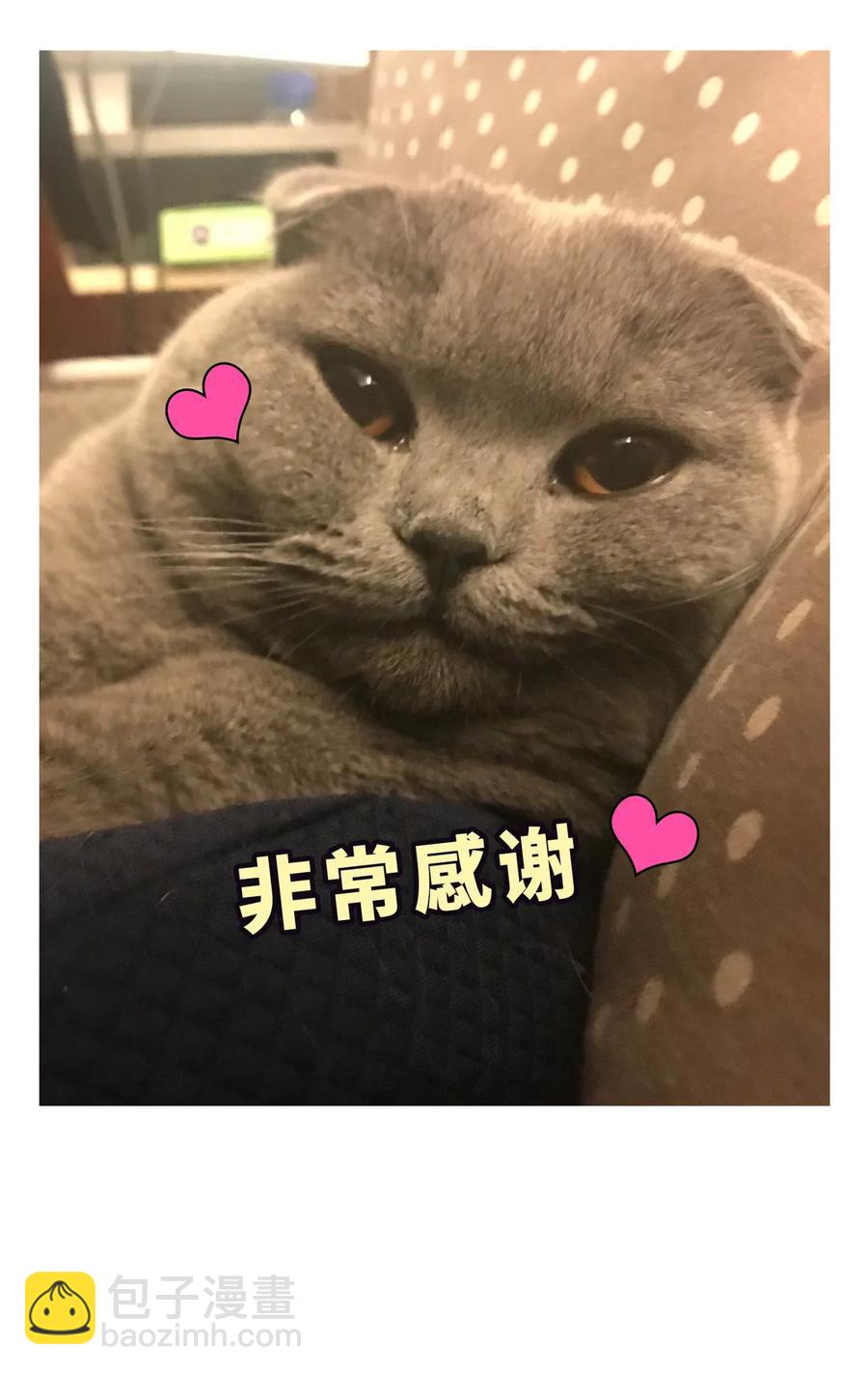 《我的未婚夫候选人》第92话 你的爸爸背叛了家庭 第39页
