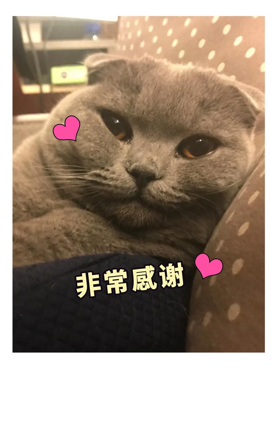 《我的未婚夫候选人》第94话 和我交往 第45页