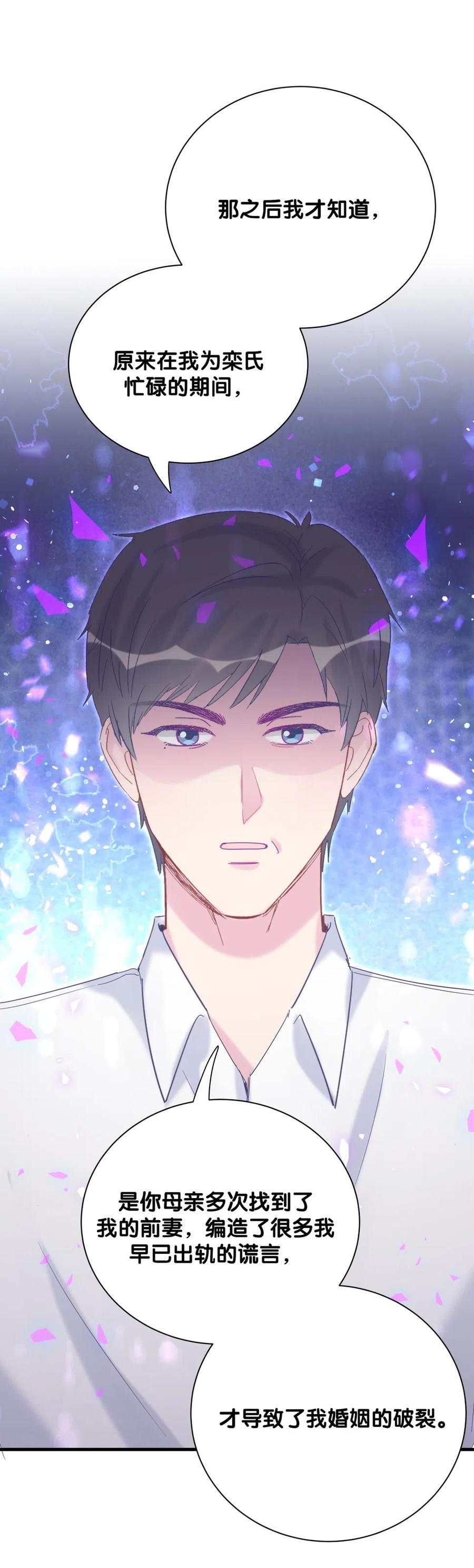 《我的未婚夫候选人》第95话 你不是我的孩子 第28页