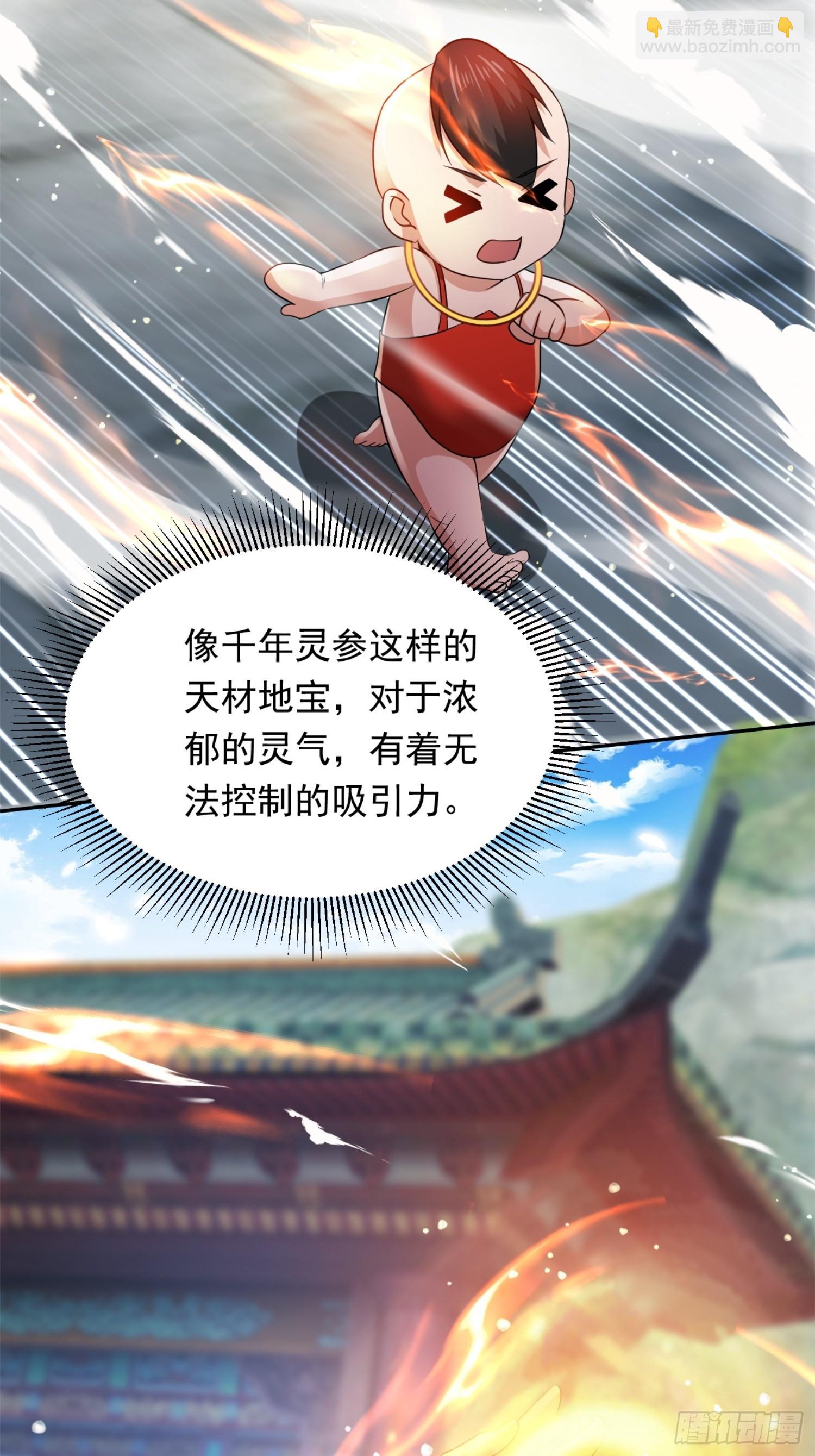《百岁开系统，孝子贤孙跪满山！》开天地道场，遇千年灵参 第43页