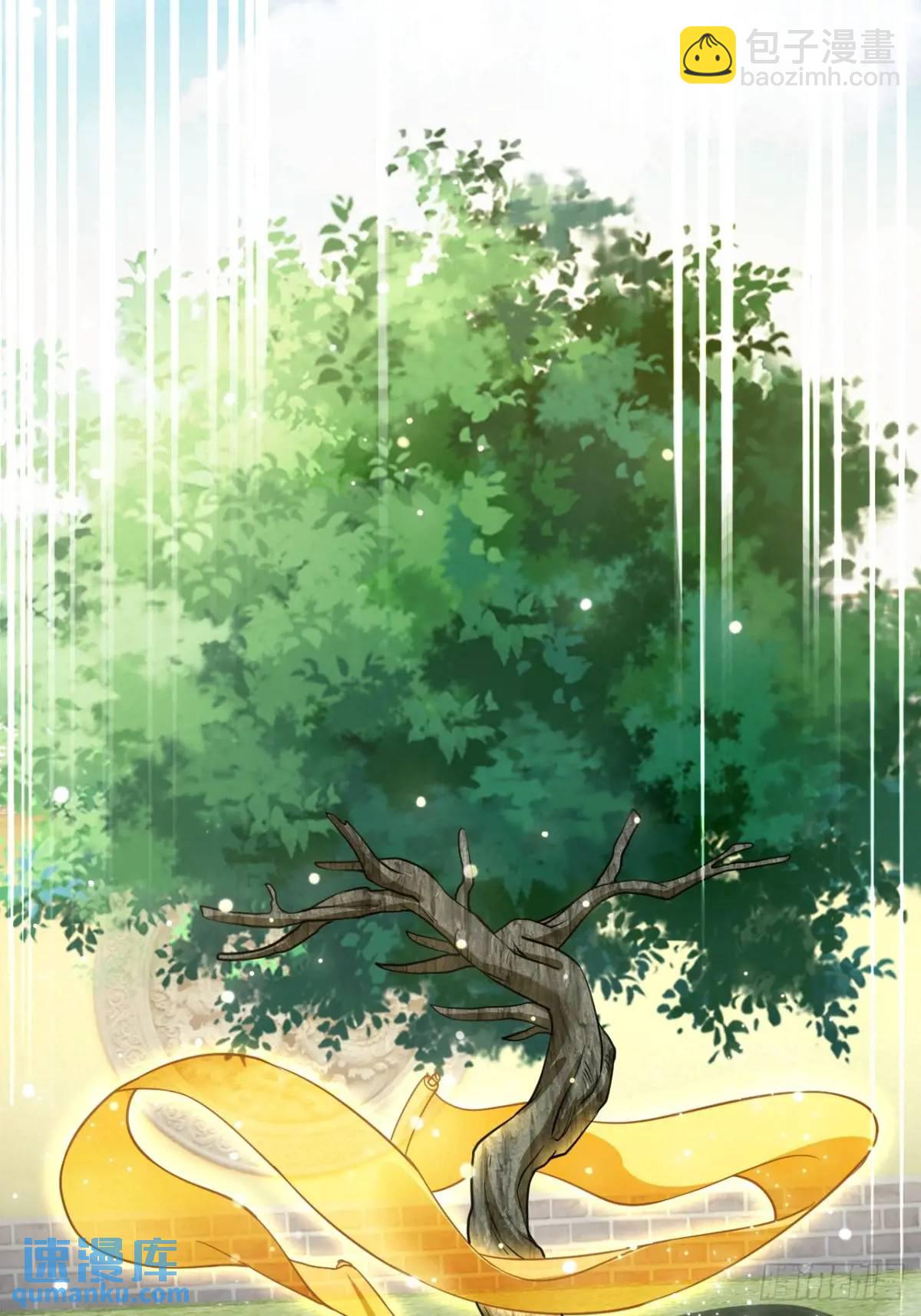 《百岁开系统，孝子贤孙跪满山！》记忆苏醒 第22页