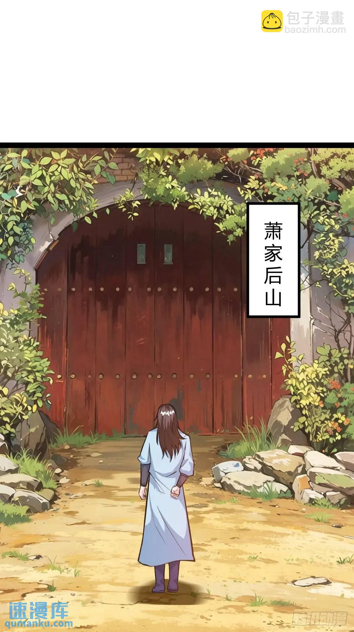 《百岁开系统，孝子贤孙跪满山！》化神三层 第12页