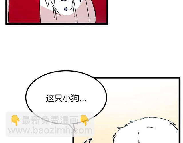 《假扮皇帝未婚妻》第29话 没有攻击性的眼睛 第13页
