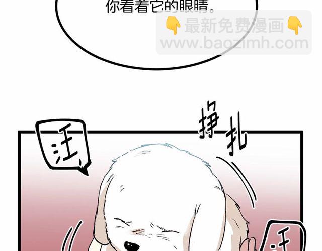 《假扮皇帝未婚妻》第29话 没有攻击性的眼睛 第33页