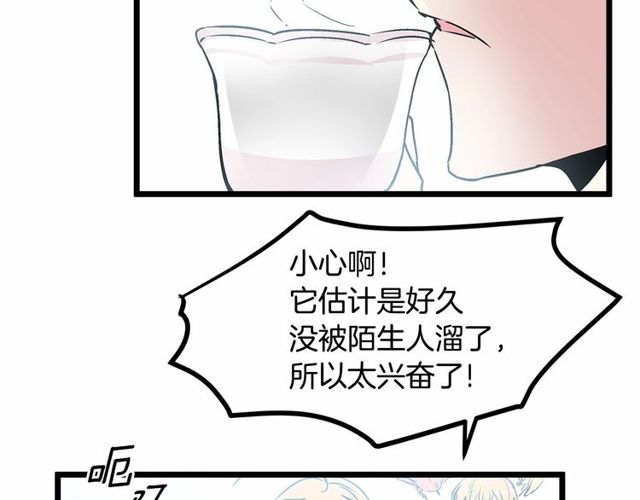 《假扮皇帝未婚妻》第29话 没有攻击性的眼睛 第50页