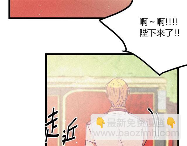 《假扮皇帝未婚妻》第65话 皇上的伴侣 第17页