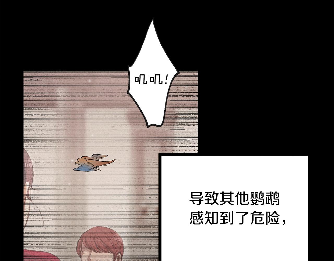 《假扮皇帝未婚妻》第80话 来自陛下的关心 第19页