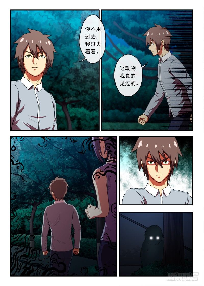 《禁忌之地》第36 什么是鬼打强1 第8页