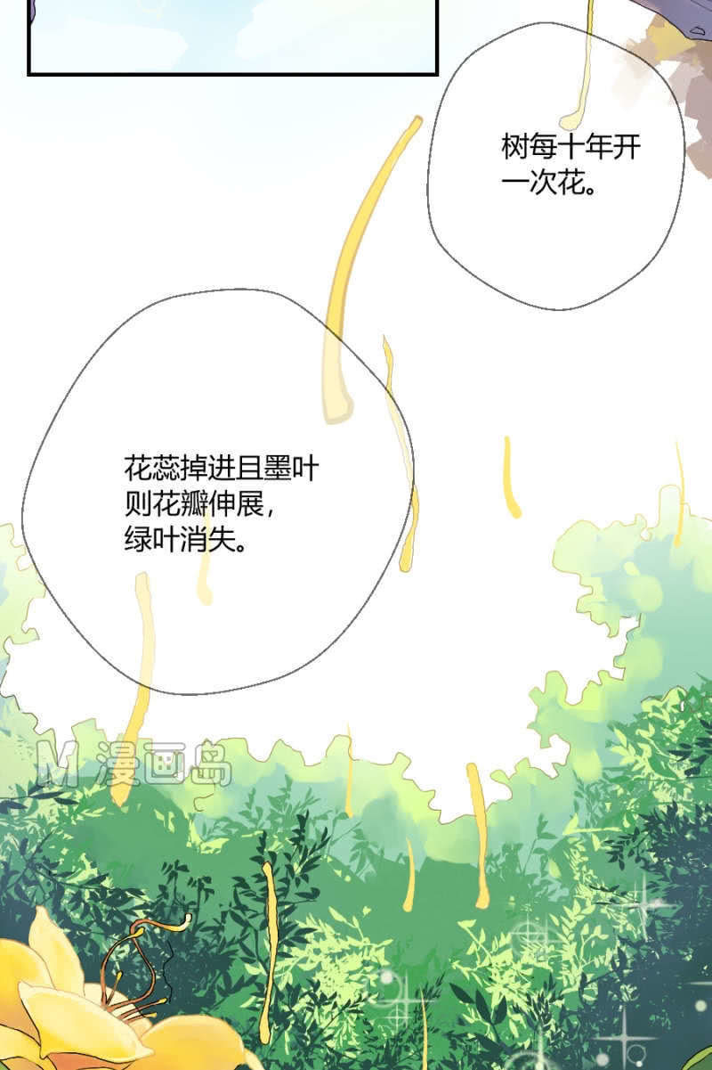 《我的保镖呆师姐》第1话 萌弟弟与呆姐姐 第4页