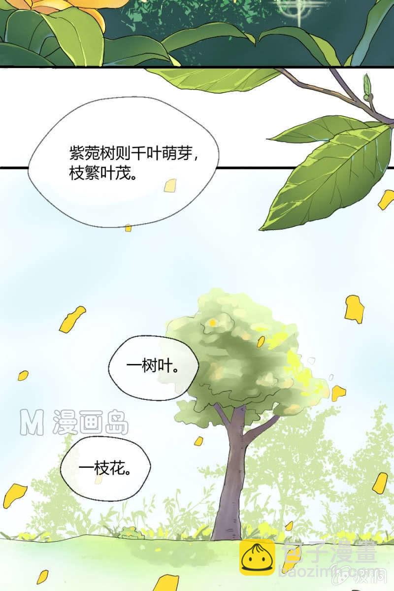 《我的保镖呆师姐》第1话 萌弟弟与呆姐姐 第5页