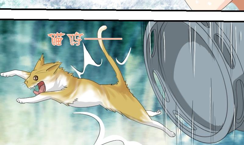 《我的保镖呆师姐》第70话 害虫之影（上） 第43页