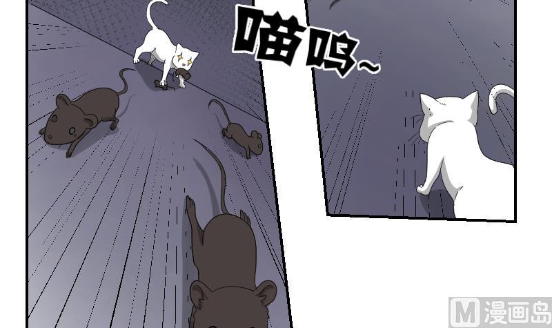 《我的保镖呆师姐》第103话 做个交易吧 第33页